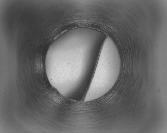 X0000076431252200610060950