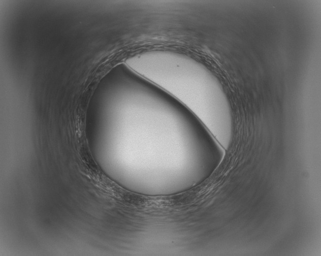 X0000076431253200610060950