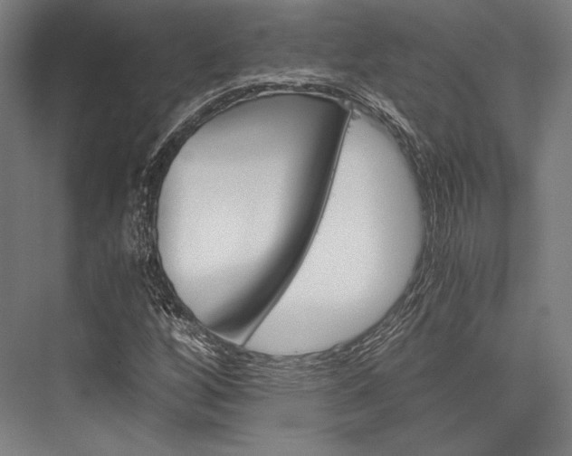 X0000076431256200610060950