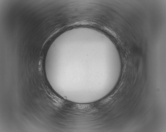 X0000076431258200610060950