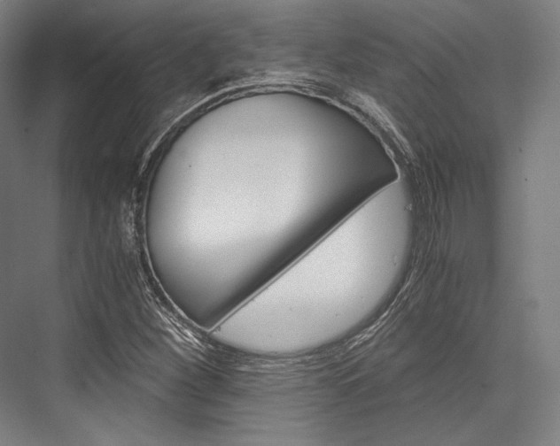 X0000076431260200610060950