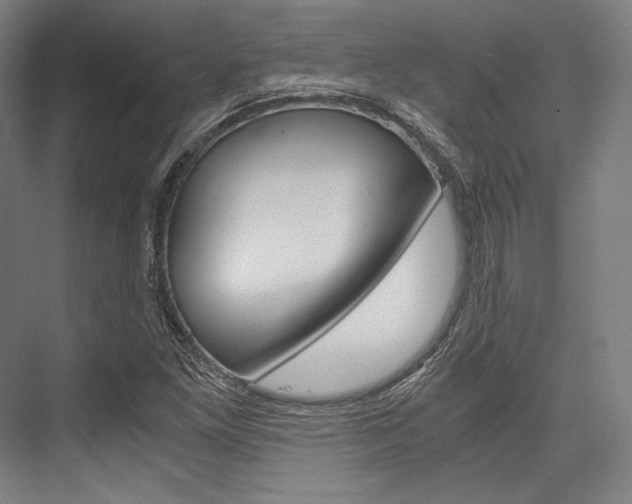 X0000076431261200610060950