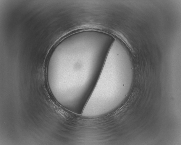 X0000076431268200610060950