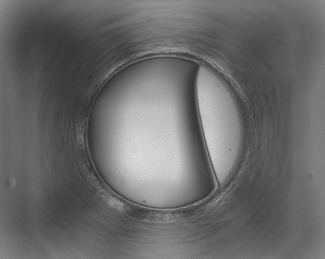 X0000076431273200610060950