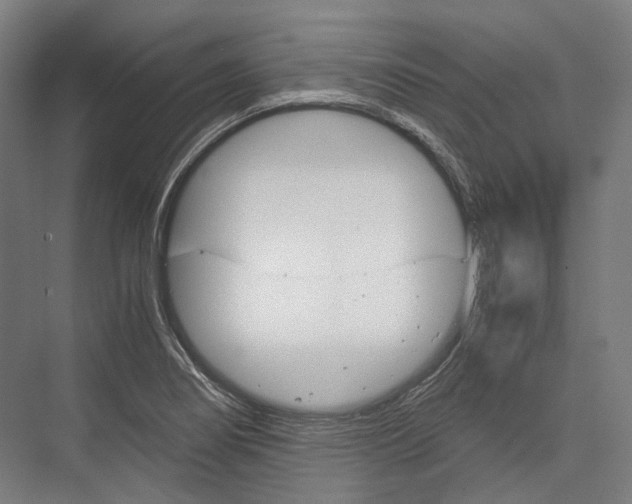 X0000076431274200610060950