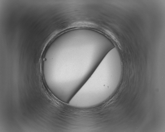 X0000076431275200610060950