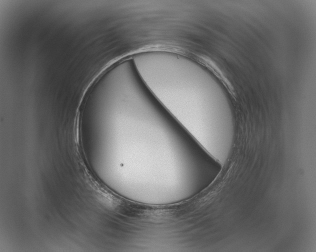 X0000076431276200610060950