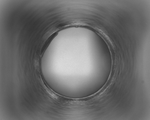 X0000076431281200610060950
