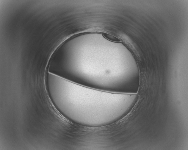 X0000076431284200610060950