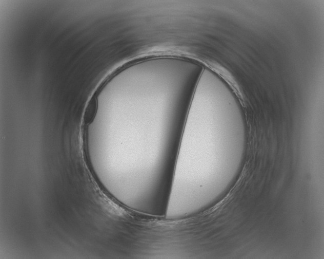 X0000076431288200610060950