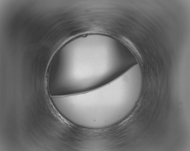 X0000076431292200610060949