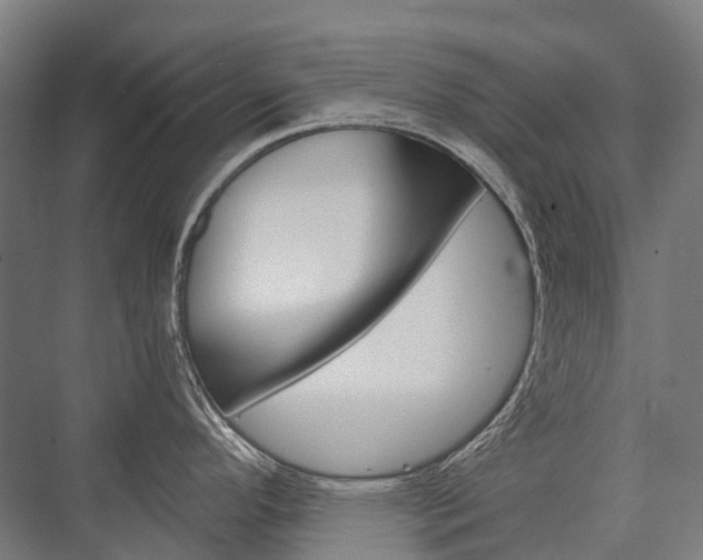 X0000076431296200610060949
