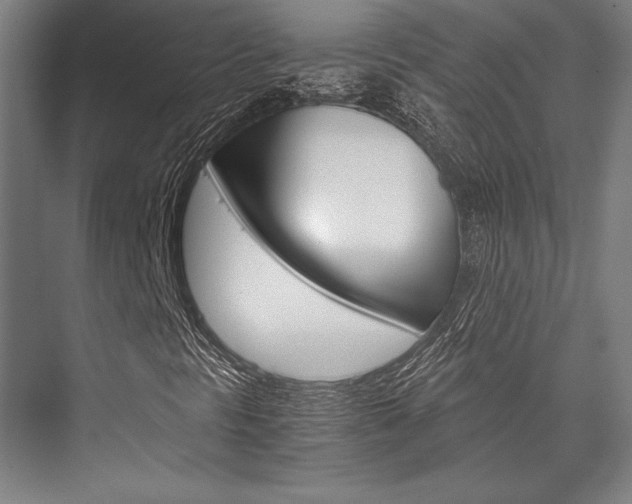 X0000076431297200610060949