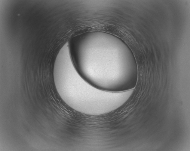 X0000076431298200610060949