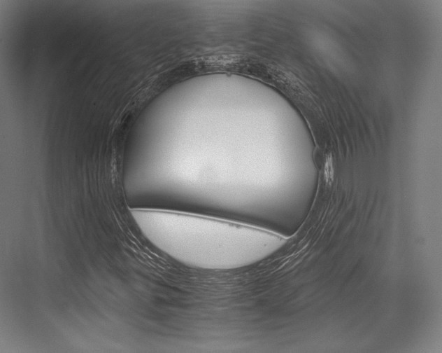 X0000076431299200610060949