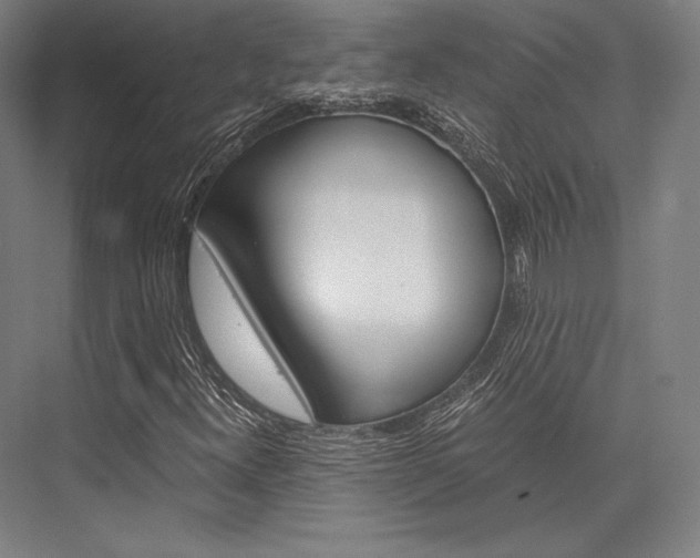 X0000076431300200610060949
