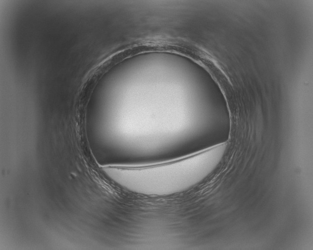 X0000076431304200610060949