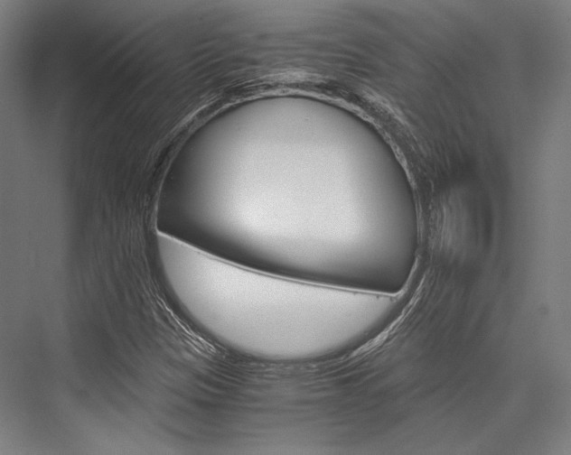 X0000076431305200610060949