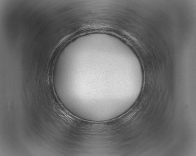 X0000076431306200610060949