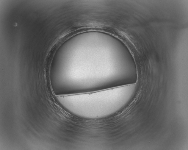 X0000076431307200610060949