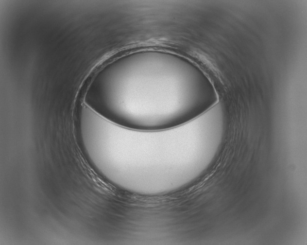 X0000076431308200610060949