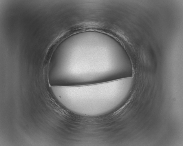 X0000076431309200610060949