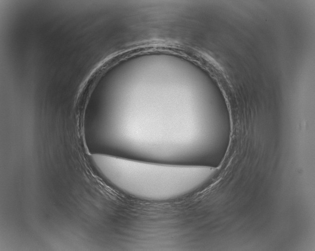 X0000076431310200610060949