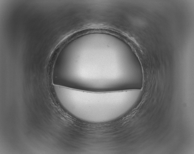 X0000076431311200610060949