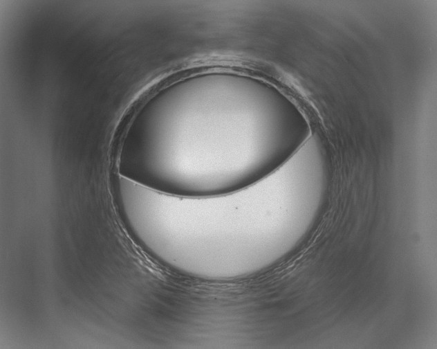 X0000076431312200610060949