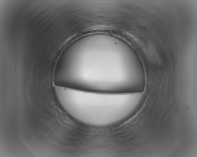 X0000076431313200610060949