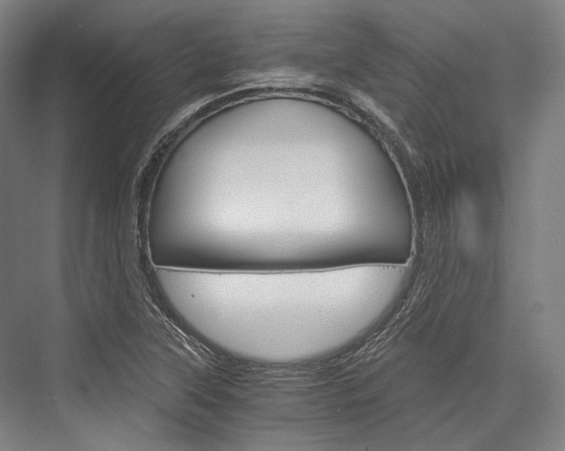X0000076431315200610060949