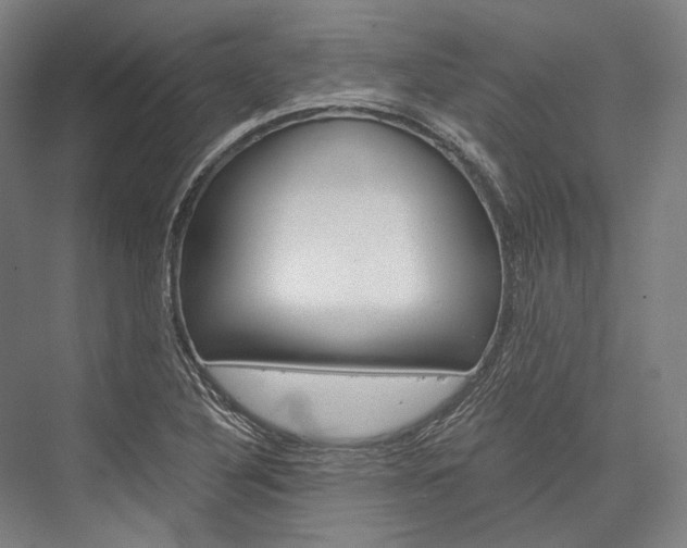 X0000076431316200610060949