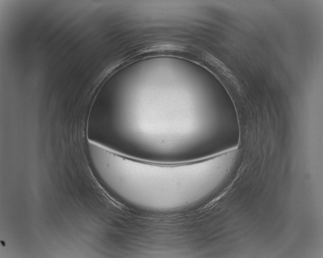 X0000076431321200610060949