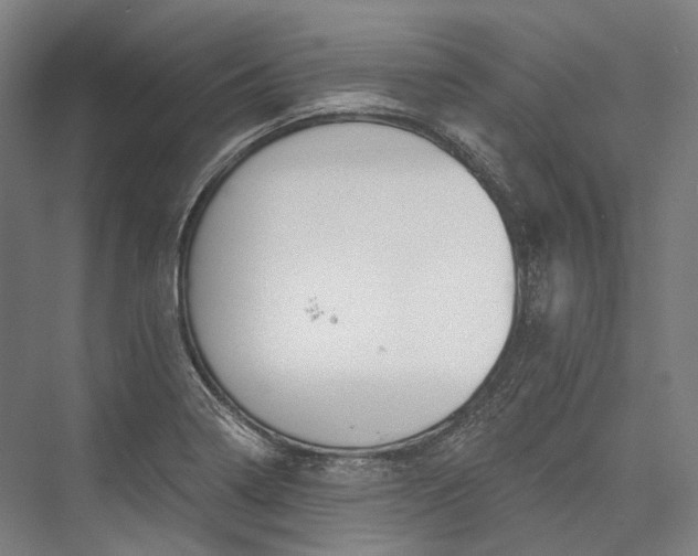 X0000076431322200610060949