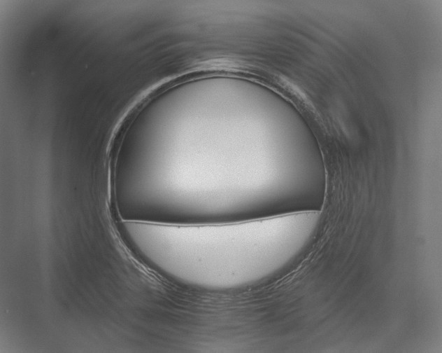X0000076431323200610060949