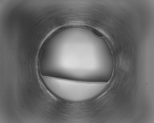 X0000076431325200610060949