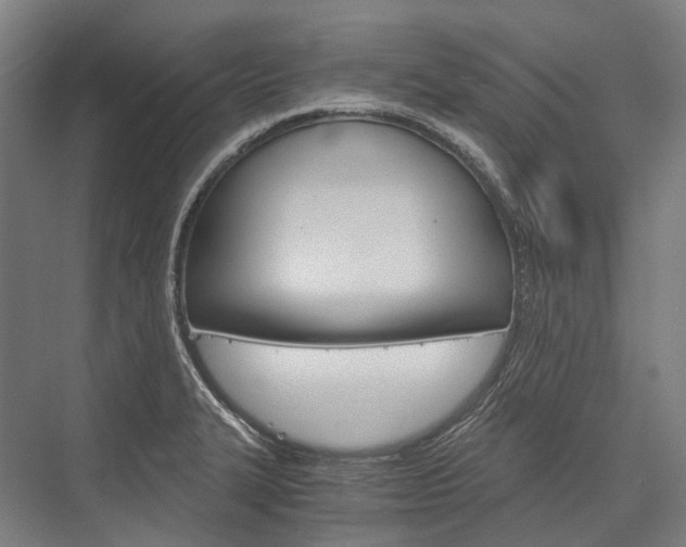 X0000076431327200610060949