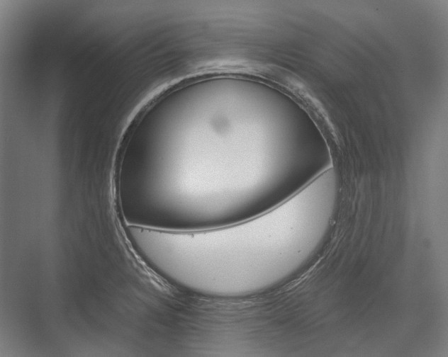X0000076431328200610060949