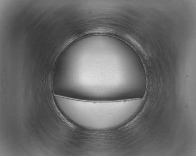X0000076431329200610060949