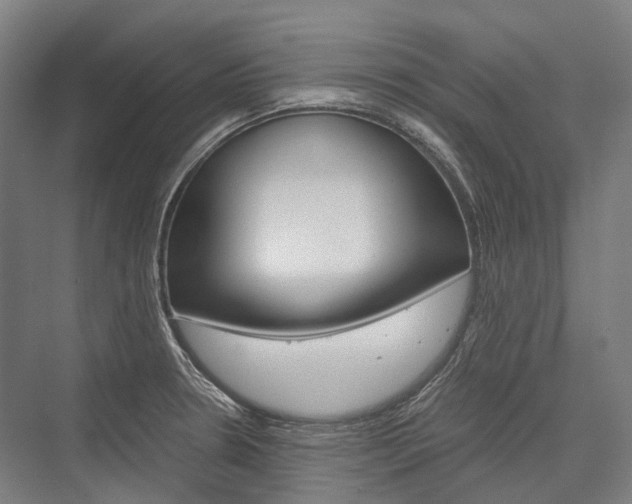 X0000076431330200610060949