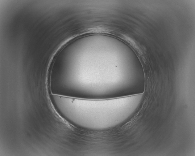 X0000076431331200610060949