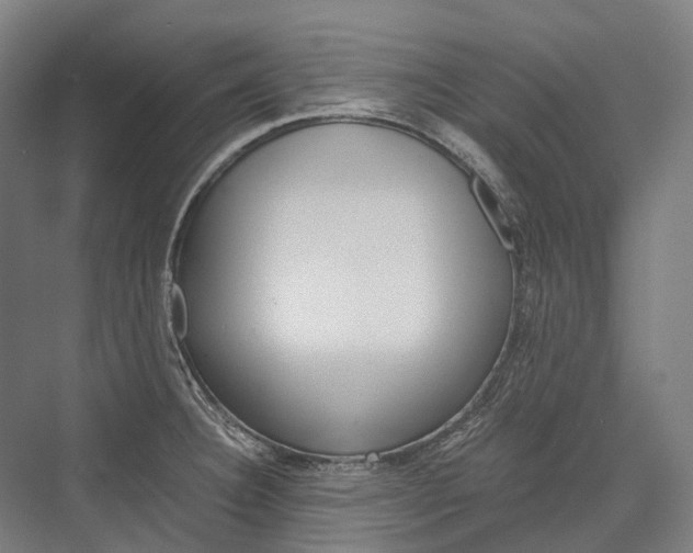 X0000076431332200610060949