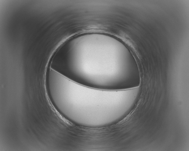 X0000076431333200610060949