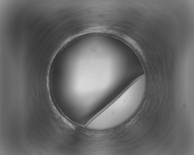 X0000076431334200610060949