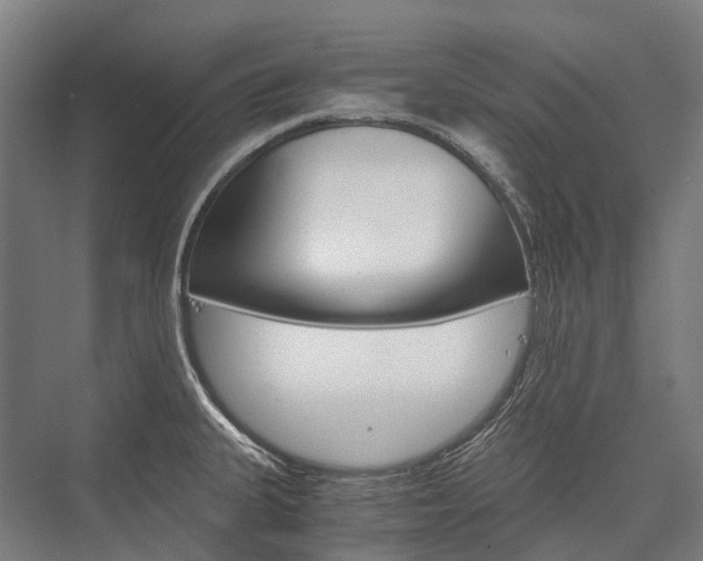 X0000076431335200610060949
