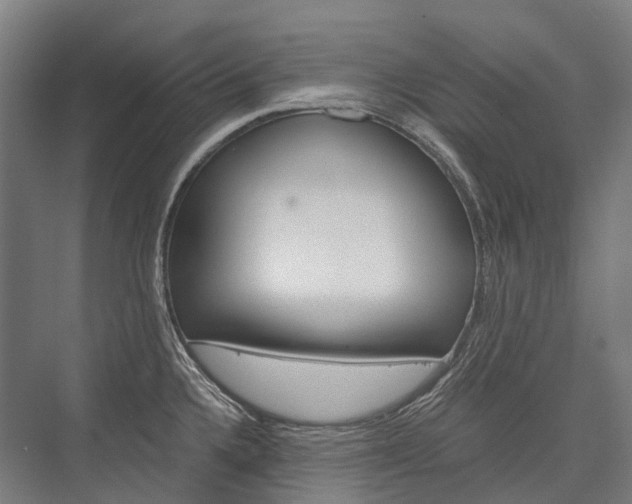X0000076431336200610060949