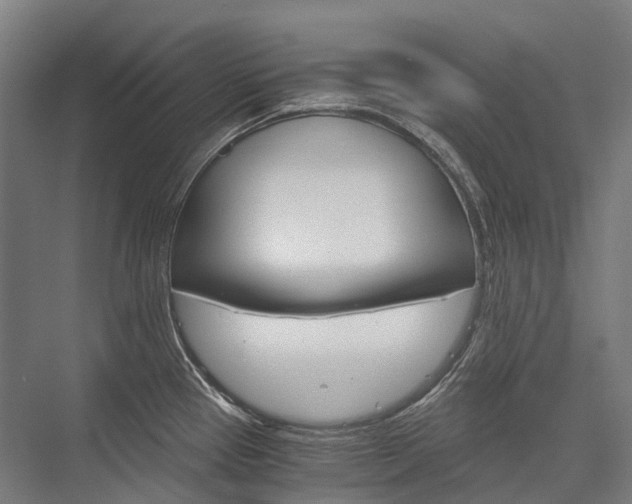 X0000076431337200610060949