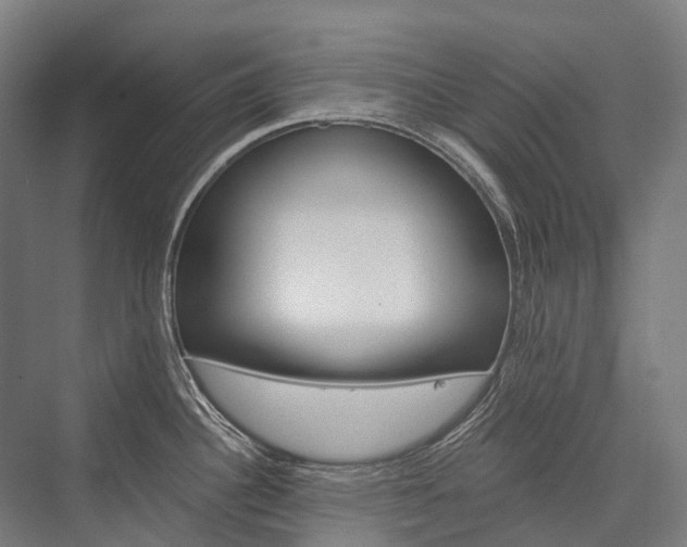 X0000076431340200610060949