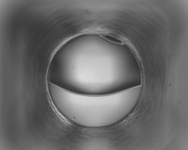 X0000076431344200610060949