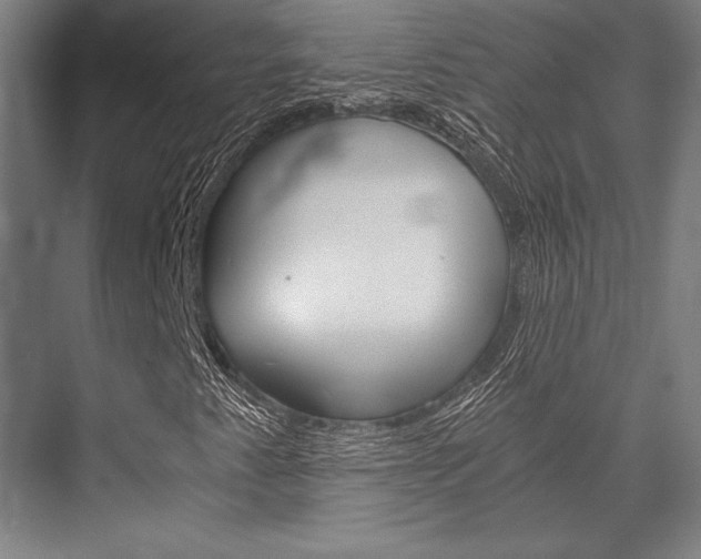 X0000076431345200610060949